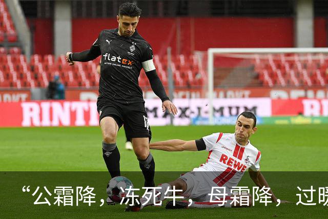 “公霜降，冻死牛，母霜降，过暖冬”，今年霜降是公还是母？答案来了！