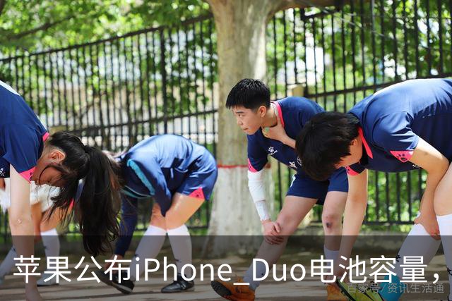 苹果公布iPhone Duo电池容量，Gurman称预购开放是「重大错误」
